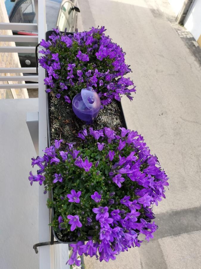 The Violet House Costa Nova Exterior foto