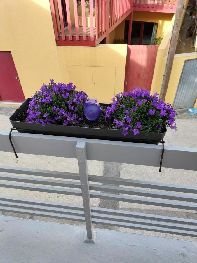 The Violet House Costa Nova Exterior foto