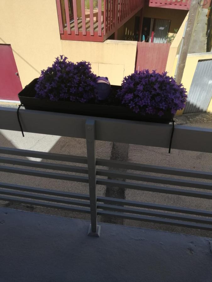 The Violet House Costa Nova Exterior foto